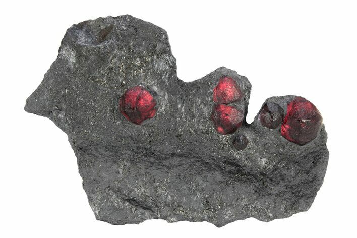 Plate of Six Red Embers Garnets in Graphite - Massachusetts #301116